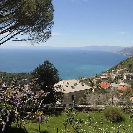 Ruta A&g Appartement